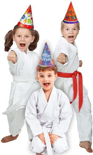 Martial Arts Birthday Party for Kids in Lanham MD - Birthday Punches Page Banner