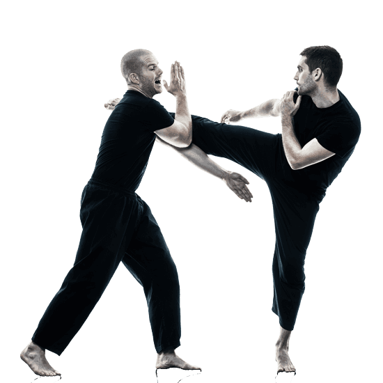 Self-Defense Program for Adults in Lanham MD - Self Defense Men Self-Defense